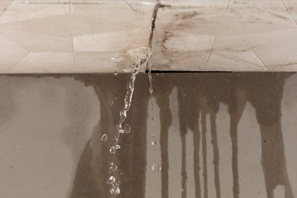 Professional Burst Pipe Cleanup technician working in Lake Villa, IL